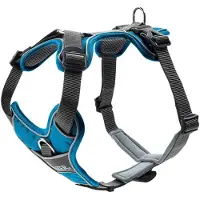 Hunter - Harness Divo - Hondentuig Hals 46-67 cm, Bauch 79-107 cm - Breite 2,5 cm, lightblue /grijs