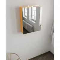 Mondiaz Cubb spiegelkast 60x70x16cm ocher met 1 deur