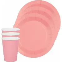 SANTEX feest/verjaardag servies set - 20x gebaksbordjes en bekertjes - roze - karton