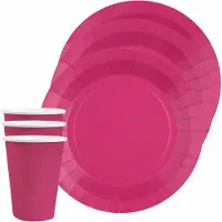 SANTEX 20x bordjes en bekertjes - fuchsia roze - Feestbordjes
