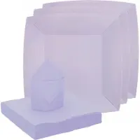 SANTEX servies set karton - 10x bordjes/20x servetten - lila paars - Feestbordjes