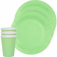 SANTEX 10x bordjes en bekertjes - mintgroen - Feestbordjes
