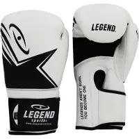 Legend Sports EcoFIT Bokshandschoenen Heren/Dames Wit PU