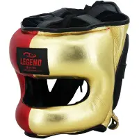 Legend Sports Hoofdbeschermer + Neusbeschermer LE Golden Boy