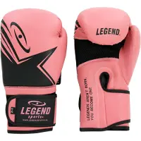 Legend Sports EcoFIT Bokshandschoenen Dames Roze PU