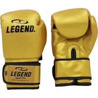 Legend Sports Powerfit & Protect Bokshandschoenen Heren/Dames Goud PU