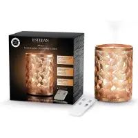 Esteban Mist Diffuser Light & Copper Edition