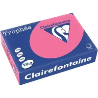 Clairefontaine Gekleurd papier Fuchsia 210 grams A4 (250 vel)