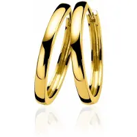 Zinzi gold plated zilveren oorringen 28 x 3mm met scharniersluiting ZIO193G