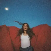 Universal Music Maggie Rogers - Heard It In A Past Life (LP)