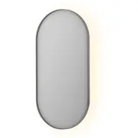 Ink SP21 Spiegel Ovaal In Kader 50x100cm Indirecte LED - Geborsteld RVS - Glas - Ovaal - Spiegels, Badkamerspiegels - 8718835159689