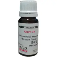 Dnh Quint 33 200 stuks