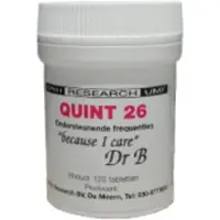 Dnh Quint 26