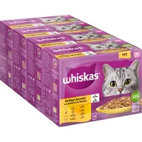 Whiskas 48x85g Senior 7+ Gevogelte-selectie in gelei Kattenvoer Maaltijdzakjes