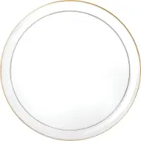 Decorline 20 Elegante Stabiele Herbruikbare Plastic Borden Transparent met goud rand-Edge Collectie