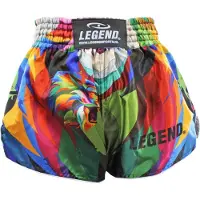 Legend Sports Kickboks Broekje Jungle Lion Kids/Volwassenen