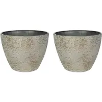 Ter Steege Bloempot/plantenpot - 2x - buiten - beige/goud - D13/H12 cm - Plantenpotten