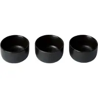 Aida Raw schaal mini Ø7,5 cm 3-pack Titanium Black