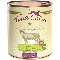 Terra canis Classic Game with Pumpkin