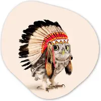 MuchoWow Organische wanddecoratie 90x90 cm - Organisch schilderij Dier - Uil - Indiaan - Vogel - Muurdecoratie woonkamer - Kamer decoratie - Schilderijen - Muurcirkel aesthetic
