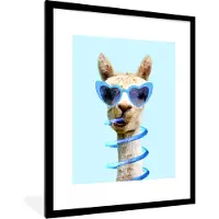 PosterMonkey Posterlijst - Foto lijst - Lama - Zonnebril - Blauw - Dier - 60x80 cm - Slaapkamer decoratie - Poster met kader