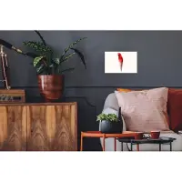 PosterMonkey Poster IJs - Papegaai - Rood - IJshoorntjes - Wit - 30x20 cm