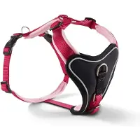 Wolters hondentuig gepolsterd Professional Comfort, maat 6: 80-95cm x 35mm Paars/Roze