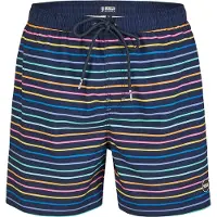 Happy Shorts Heren zwemshort regenboog gestreept