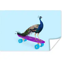 PosterMonkey Poster Pauw - Blauw - Skateboard - Dieren - Grappig - 90x60 cm