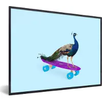 PosterMonkey Fotolijst incl. Poster - Pauw - Blauw - Skateboard - Dieren - Grappig - 80x60 cm - Posterlijst