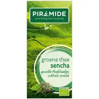 Piramide 3x Biologische Groene Theezakjes Sencha 20 Stuks