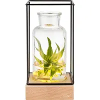 GADGY Vaas met LED Verlichting - Vaaslamp - Glazen Vaas met Lamp - Moederdag Cadeautje - Hydroponie - Werkt op Batterijen – Tafellamp - Ø11 cm