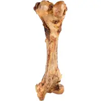 Flamingo Hondensnack – Nature Tibiabeen 800g – natuurlijke hondensnacks zonder toevoegingen – glutenvrije hondensnoepjes