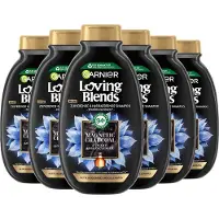 Garnier 6x Loving Blends Magnetic Charcoal Shampoo 300 Ml