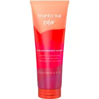 Inebrya Color Color Perfect Mask 250 ml