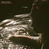 Jagjaguwar Angel Olsen - Forever Means (LP)