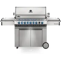 Napoleon Grills Prestige Pro 665 RVS