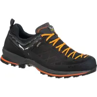 Salewa - MS Mountain Trainer 2 GTX - Multisportschoenen 44, zwart