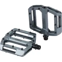 BBB Cycling MTB Pedalen - Enigma - Platformpedalen met Grip Pinnen & Afgedichte Lagers - Mountainbike Fietspedalen - Grijs - 100 x 100 mm - BPD-38