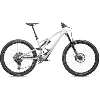Specialized STUMPJUMPER EVO EXPERT - 29'' Carbon Mountainbike - 2023 - gloss birch / taupe Specialized Bikes