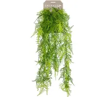 Buitengewoon Boet Emerald Asparagus plumosus hanging bush x6 80 cm kunstplant