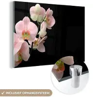 MuchoWow Glasschilderij 180x120 cm - Schilderij acrylglas - Orchidee - Bloemen - Roze - Stilleven - Flora - Foto op glas - Muurdecoratie woonkamer - Wanddecoratie slaapkamer - Schilderijen