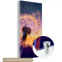 MuchoWow Glasschilderij - Schilderij bloemen - Paardenbloem - Bloemen - Zonsondergang - Natuur - Acrylglas - Wanddecoratie natuur - Foto op glas - Glazen schilderij - 80x160 cm - Schilderijen woonkamer