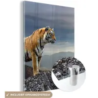 MuchoWow - Glasschilderij - Tijger - Rots - Bergen - Muurdecoratie - Acrylglas - Foto op glas - 120x160 cm - Schilderij glas - Wanddecoratie