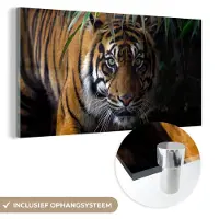 MuchoWow - Glasschilderij - Acrylglas - Tijger - Bladeren - Natuur - Wanddecoratie - Foto op glas - 120x60 cm - Schilderij glas - Muurdecoratie