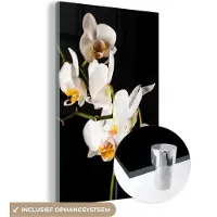 MuchoWow Glasschilderij 80x120 cm - Schilderij acrylglas - Orchidee - Bloemen - Planten - Botanisch - Foto op glas - Muurdecoratie woonkamer - Wanddecoratie slaapkamer - Schilderijen