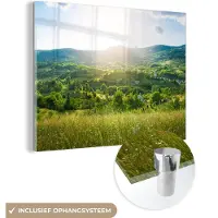 MuchoWow Glasschilderij - Foto op glas - Landschap - Gras - Natuur - Bomen - Schilderij glas - Woondecoratie - Acrylglas - Glasschilderij natuur - 160x120 cm - Wanddecoratie