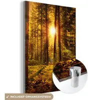 MuchoWow Glasschilderij - Foto op glas - Zon - Bos - Groen - Natuur - Acrylplaat - Woondecoratie - Schilderij glas - 30x40 cm - Acrylglas - Schilderijen woonkamer - Muurdecoratie