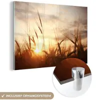 MuchoWow - Glasschilderij - Foto op glas - Riet - Gras - Zon - Natuur - 30x20 cm - Afbeelding op glas - Wanddecoratie - Schilderij natuur - Acrylglas