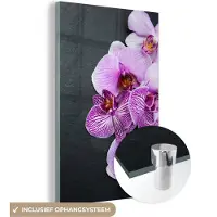 MuchoWow Glasschilderij 40x60 cm - Schilderij acrylglas - Orchidee - Bloemen - Roze - Flora - Foto op glas - Muurdecoratie woonkamer - Wanddecoratie slaapkamer - Schilderijen